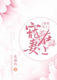 宠妻在上封面