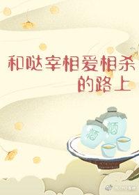 和哒宰相爱相杀的路上封面