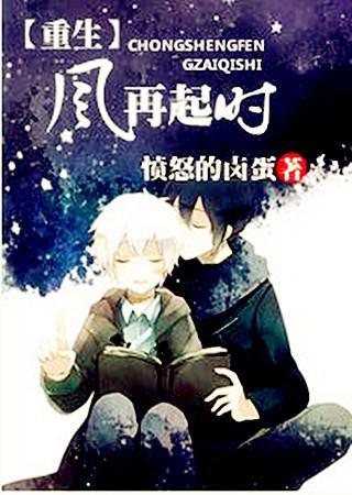重生之风再起时封面
