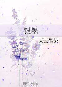 银墨封面