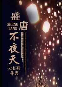 盛唐不夜天封面