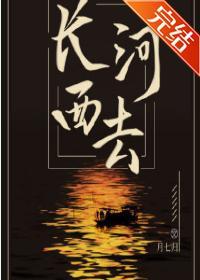 长河西去封面