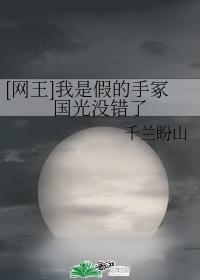 [网王]我是假的手冢国光没错了封面