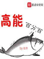 高能百分百封面