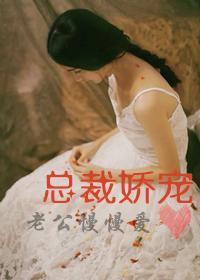 总裁娇宠：老公慢慢爱封面