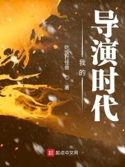 我的导演时代封面