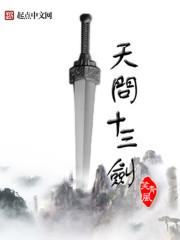 天问十三剑封面
