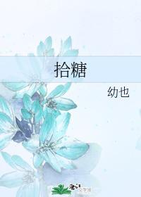 拾糖封面
