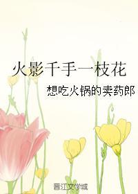 火影千手一枝花封面