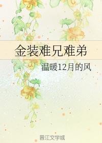 金装难兄难弟封面
