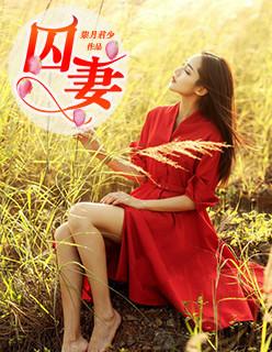 囚妻封面