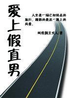 爱上假直男封面