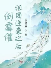 倒霉催组团逆袭之后封面