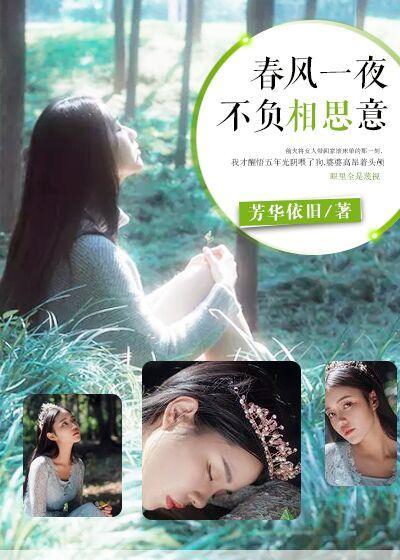 春风一夜，不负相思意封面