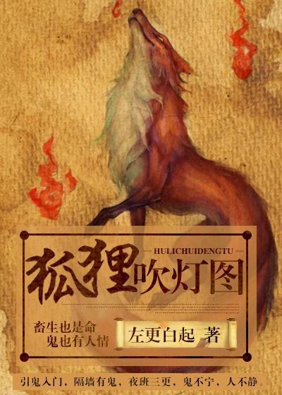 狐貍吹灯图封面