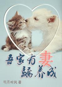 吾家有妻骄养成封面