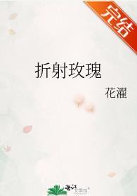 折射玫瑰封面