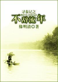 寻秦记之不辞流年封面