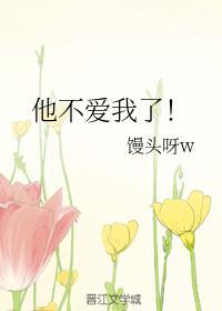 他不爱我了！封面