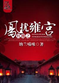 红楼之凤扰雍宫封面