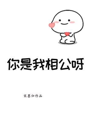 你是我相公呀[古穿今]封面