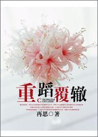重蹈覆辙封面
