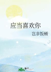 应当喜欢你封面