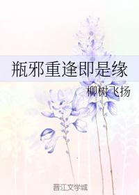 瓶邪重逢即是缘封面