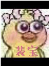 裴宝封面