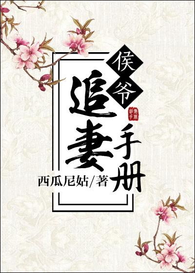 侯爷追妻手册封面