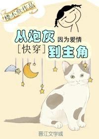 从炮灰到主角[快穿]封面