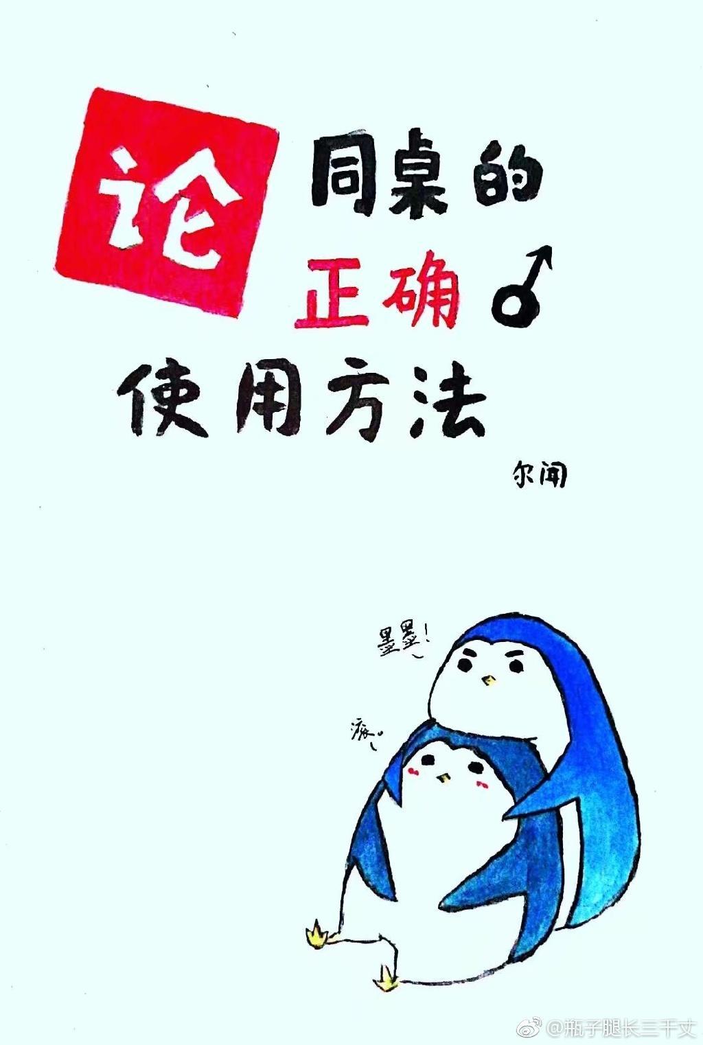 论同桌的正确使用方法封面