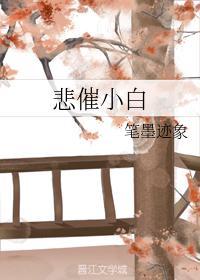 悲催小白封面