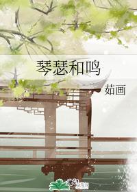 琴瑟和鸣封面