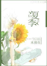 [网王]夏季封面