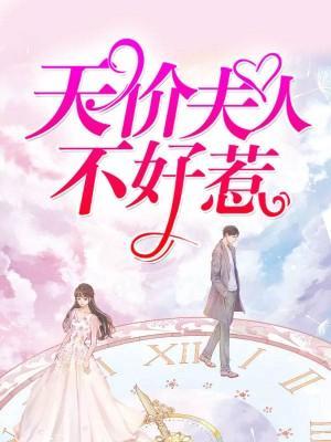 天价夫人不好惹封面