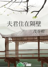 夫君住在隔壁封面