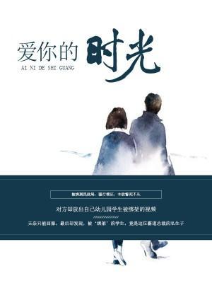 爱你的时光封面