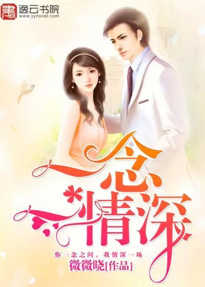 一念一情深封面