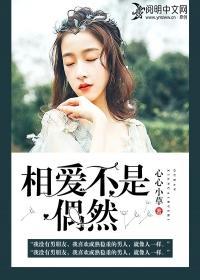 相爱不是偶然封面