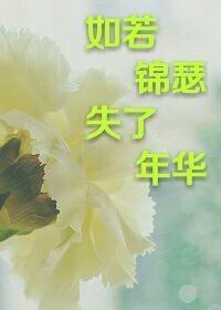 如若锦瑟失了年华封面