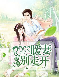 误惹BOSS：暖妻别走开封面