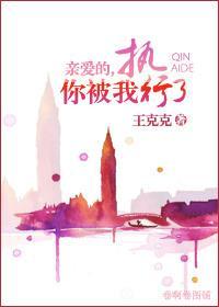 亲爱的，你被我执行了封面