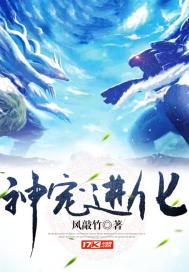 神宠进化封面