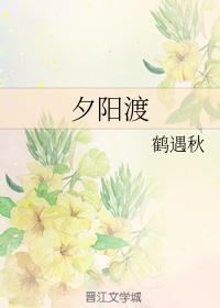 夕阳渡封面