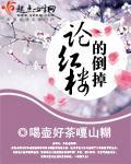 论红楼的倒掉封面