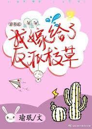 穿书后我嫁给了反派校草封面