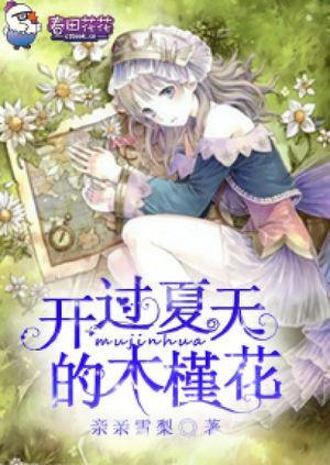 开过夏天的木槿花封面