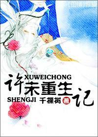 许未重生记封面