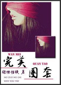 完美圈套（推理）封面